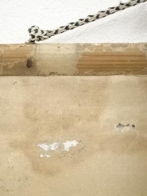 道具 ] - 道具 三宅春楼筆 「鶴舞千年樹」一行書 肉筆紙本掛軸（保護箱